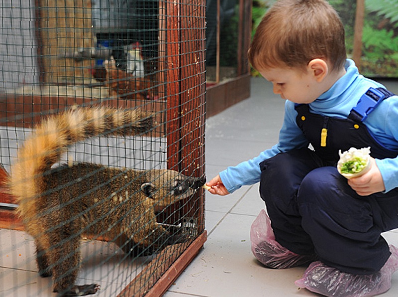 Зоопарк в городе Сергиев Посад