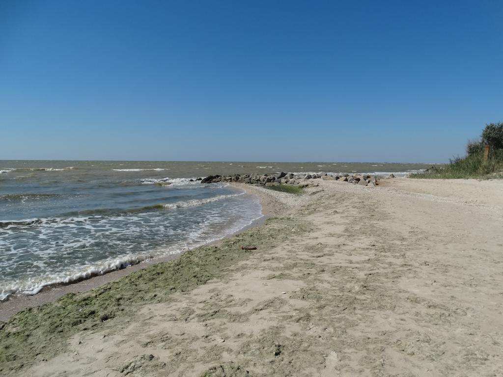 Азовское море пресное