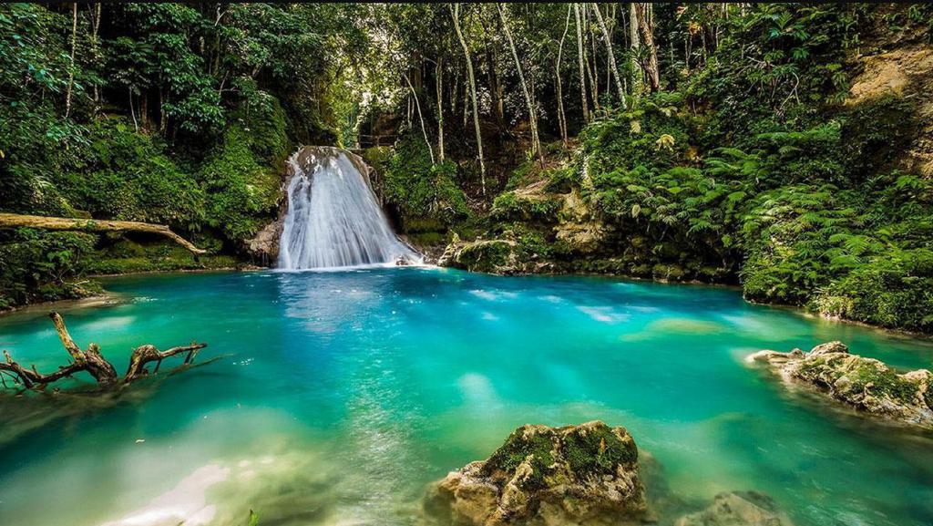 Природа Ямайки