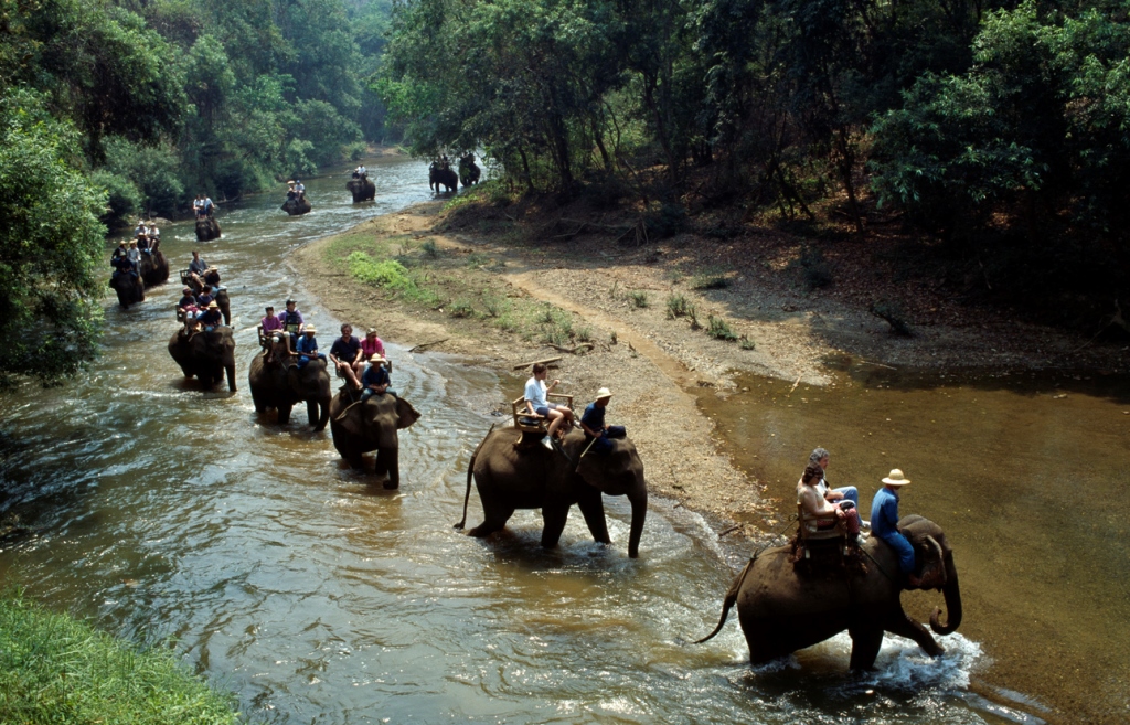 Прогулка на слонах, Тайланд