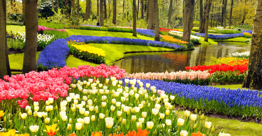 цветочный парк