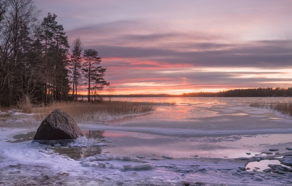 финский залив зимой