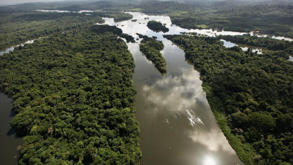 воды реки Амазонки