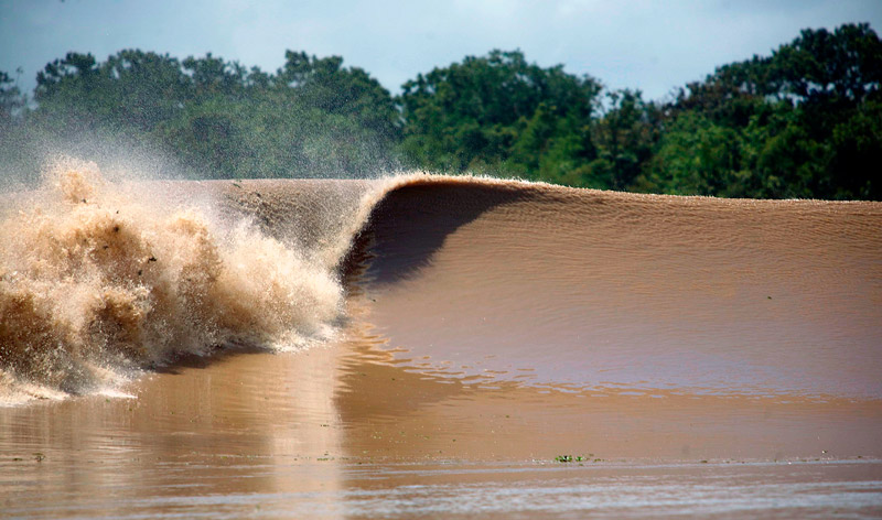Приливная волна Амазонки