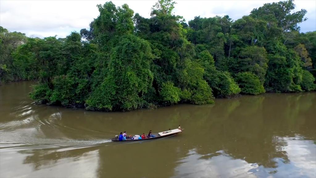 мутные воды Амазонки