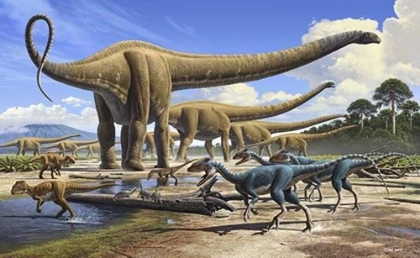 Откуда появились динозавры