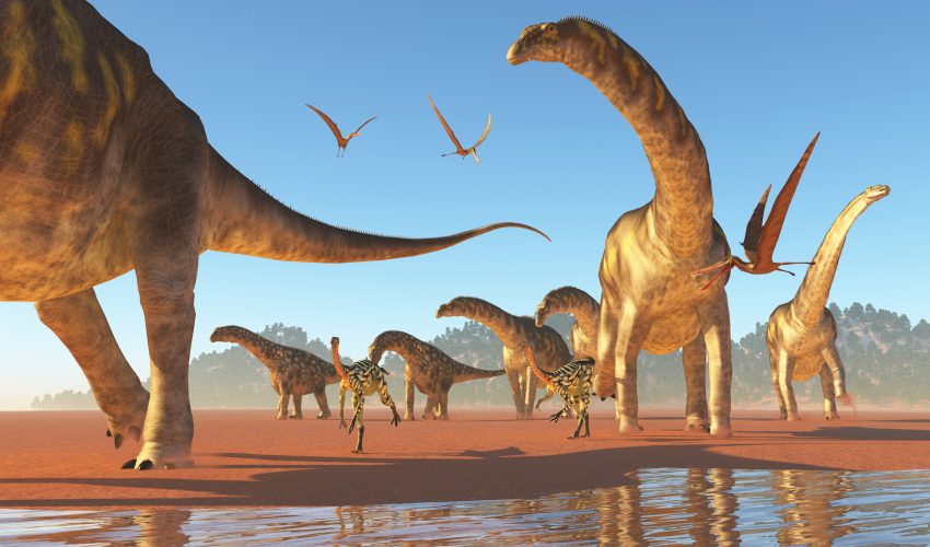 Как рождаются динозавры