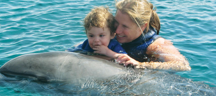 Плавание с дельфинами в Израиле
