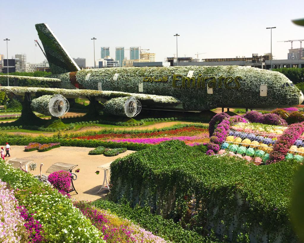 Боинг в саду Dubai miracle garden