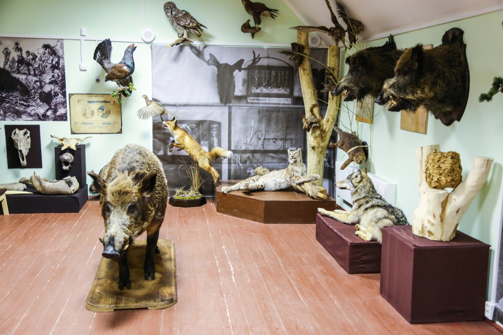 Одна из экспозиций музея Кропоткина