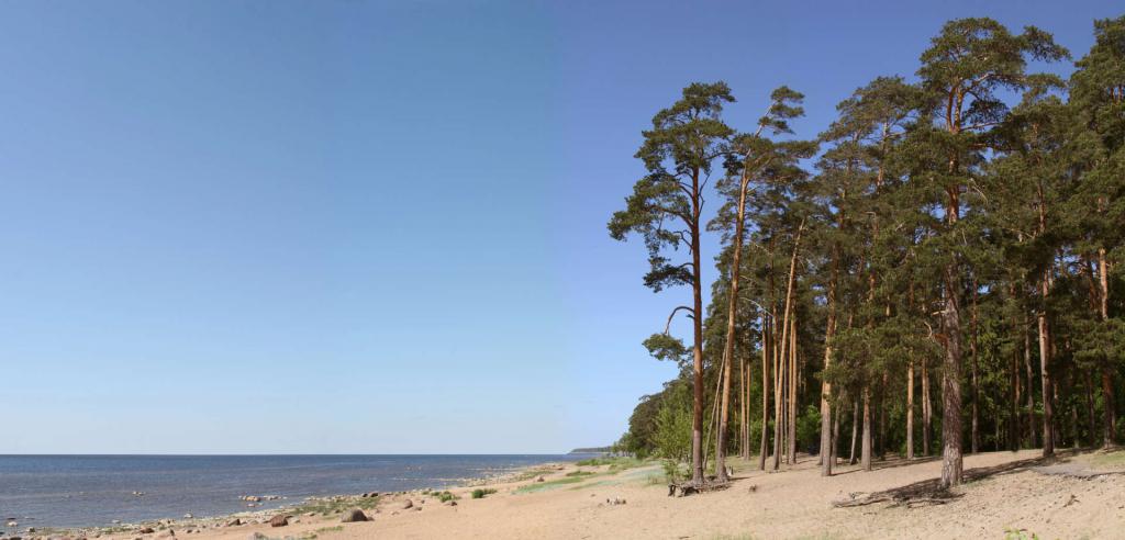 балтийское побережье латвии