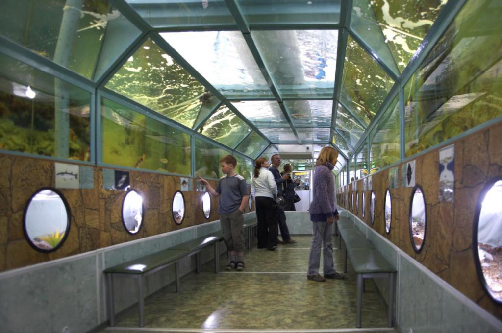 Тоннельный аквариум "Батискаф" в Анапе