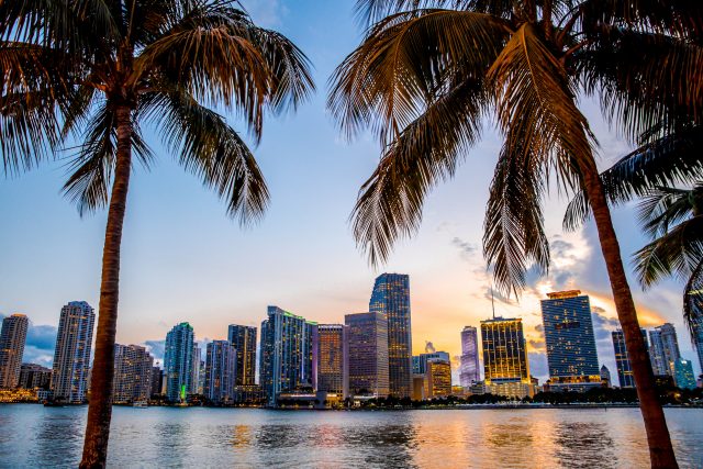 пальмы и небоскребы Майами