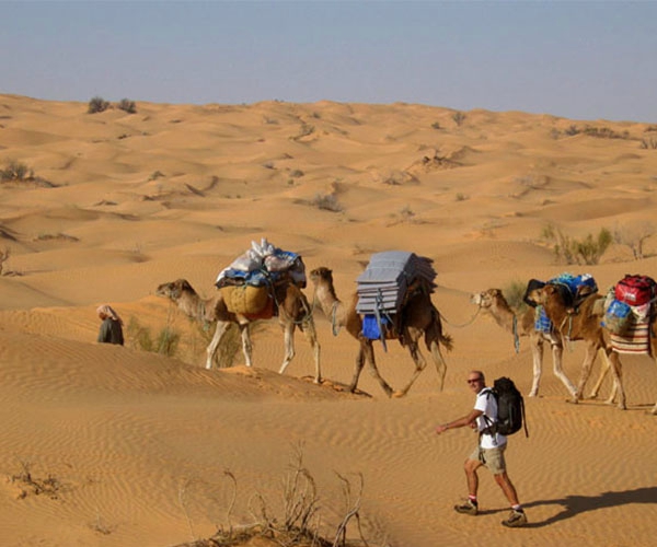 Экскурсия в Сахару