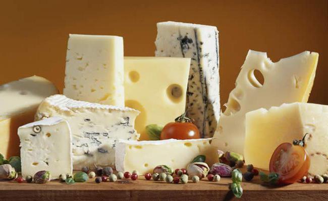 разные сорта сыра