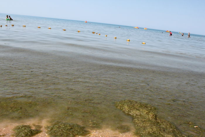 море анапа фото