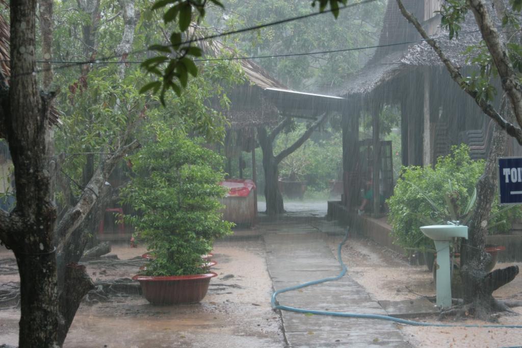 Сезон дождей во Вьетнаме.