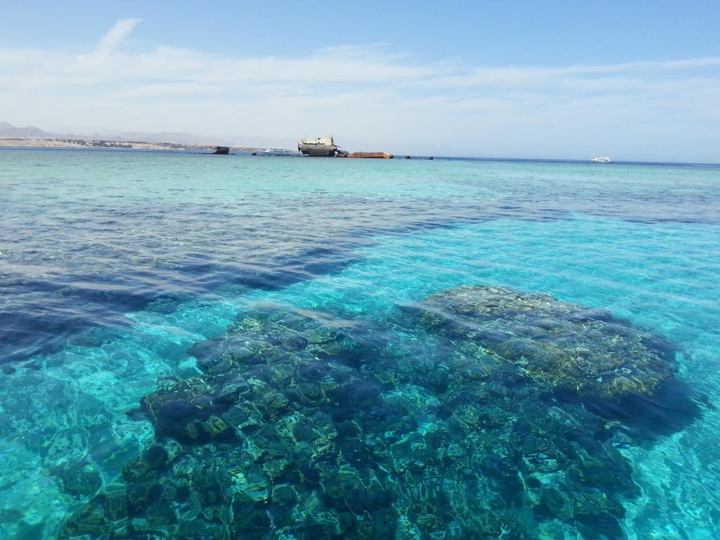 Прозрачная вода Красного моря